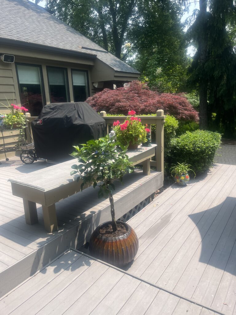 IMG_2962 - Flores Landscapes Tropical border planting softening a paver patio edge in Central Ohio